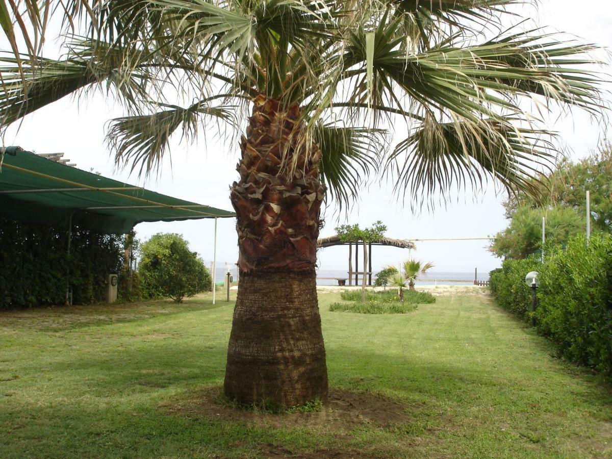 קאפו ואטיצ'אנו Villetta Sul Mare מראה חיצוני תמונה